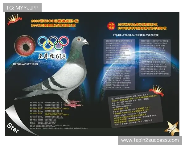 关于AG国际的全面介绍及其在全球的影响力分析